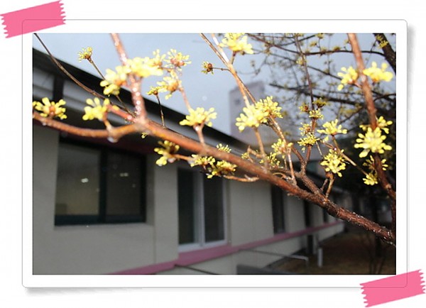 9337b348d4d765b7fd6b806517150499_1426751