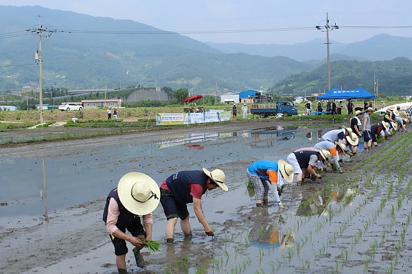 9337b348d4d765b7fd6b806517150499_1426752