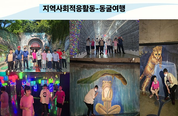 지역사회적응활동