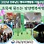 [평생교육지원팀] 2025년 전라남도 행복여행활동 지원사업(…